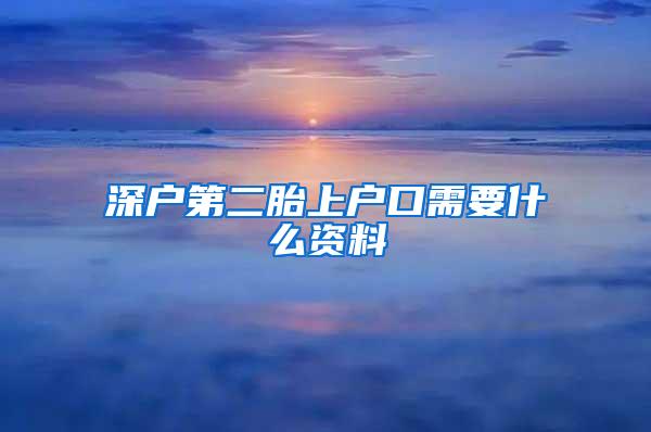 深户第二胎上户口需要什么资料