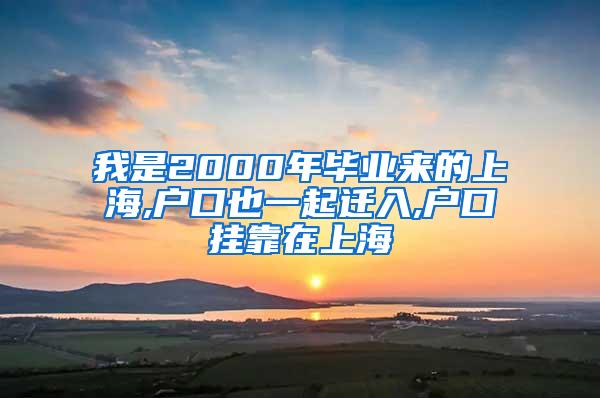 我是2000年毕业来的上海,户口也一起迁入,户口挂靠在上海