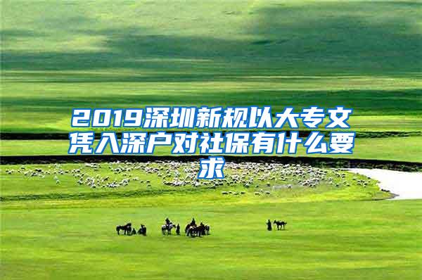 2019深圳新规以大专文凭入深户对社保有什么要求