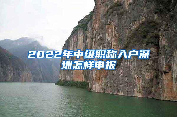 2022年中级职称入户深圳怎样申报