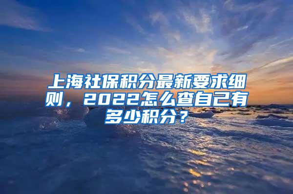上海社保积分最新要求细则，2022怎么查自己有多少积分？