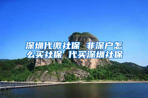 深圳代缴社保 非深户怎么买社保 代买深圳社保