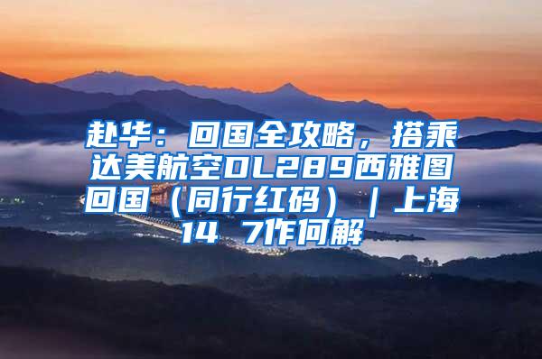 赴华：回国全攻略，搭乘达美航空DL289西雅图回国（同行红码）｜上海14 7作何解
