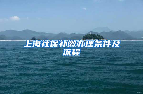 上海社保补缴办理条件及流程