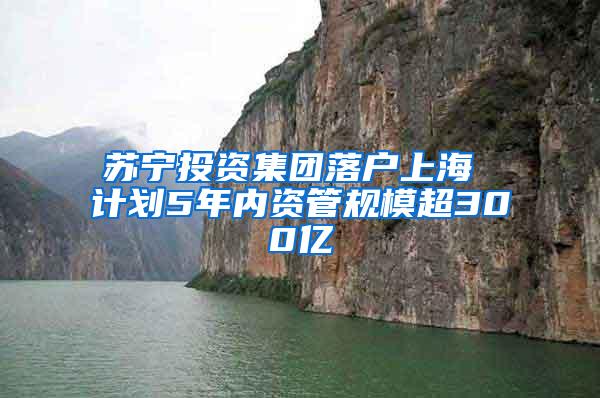 苏宁投资集团落户上海 计划5年内资管规模超300亿
