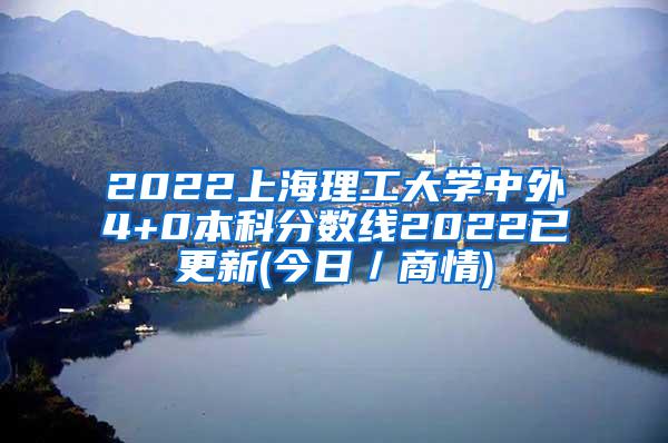 2022上海理工大学中外4+0本科分数线2022已更新(今日／商情)