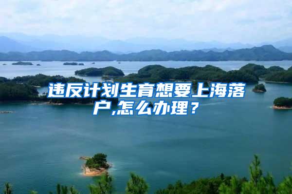 违反计划生育想要上海落户,怎么办理？