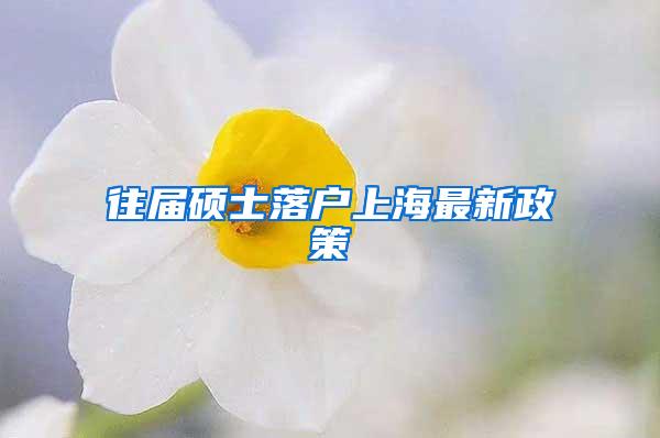 往届硕士落户上海最新政策