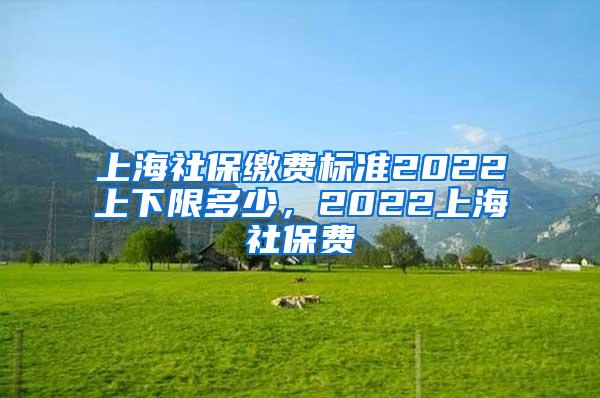 上海社保缴费标准2022上下限多少，2022上海社保费