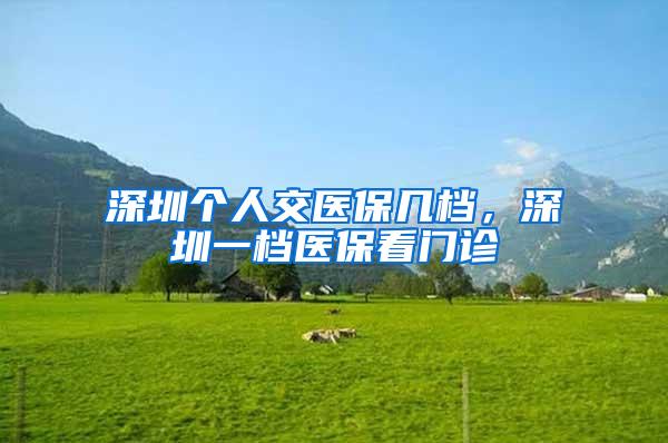 深圳个人交医保几档，深圳一档医保看门诊