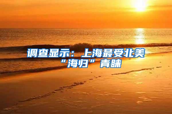 调查显示：上海最受北美“海归”青睐