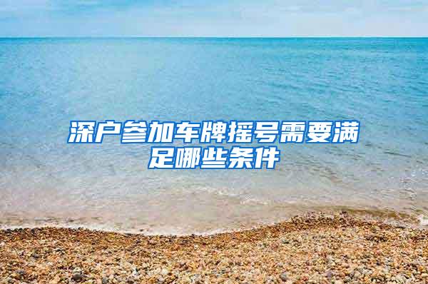深户参加车牌摇号需要满足哪些条件