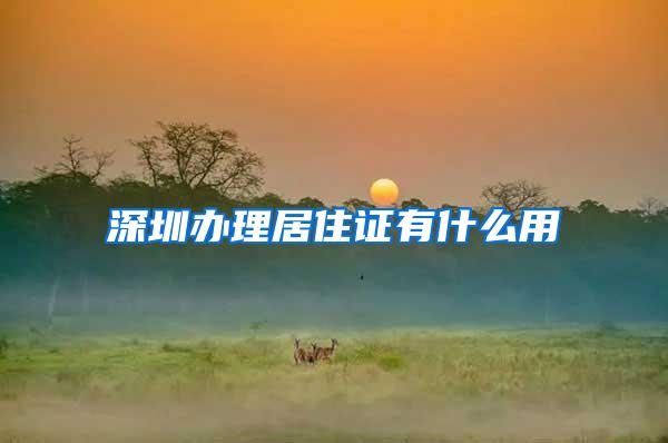 深圳办理居住证有什么用
