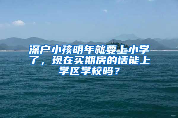 深户小孩明年就要上小学了，现在买期房的话能上学区学校吗？