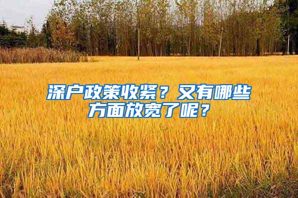 深户政策收紧？又有哪些方面放宽了呢？