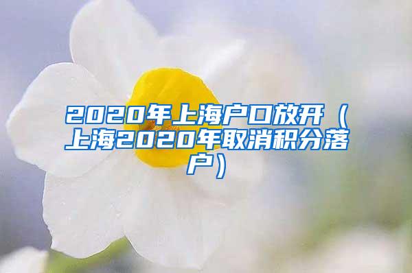 2020年上海户口放开（上海2020年取消积分落户）