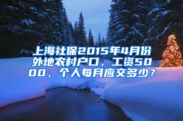 上海社保2015年4月份外地农村户口，工资5000，个人每月应交多少？