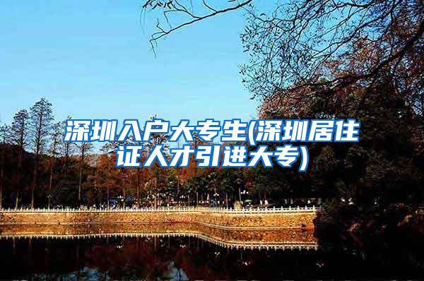 深圳入户大专生(深圳居住证人才引进大专)