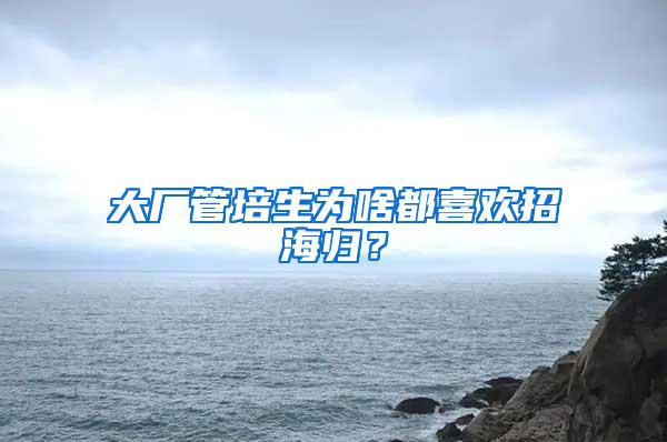 大厂管培生为啥都喜欢招海归？