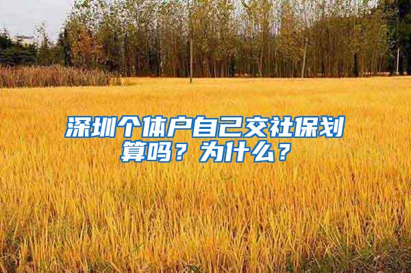 深圳个体户自己交社保划算吗？为什么？