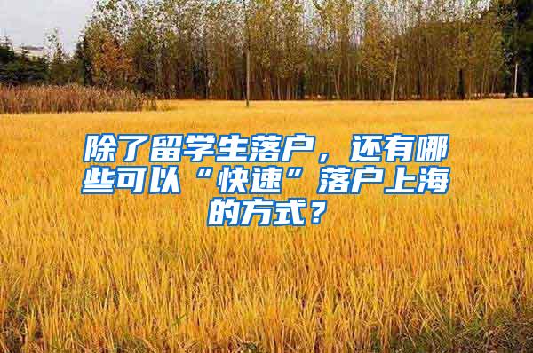 除了留学生落户，还有哪些可以“快速”落户上海的方式？