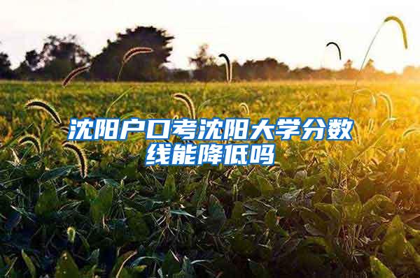 沈阳户口考沈阳大学分数线能降低吗