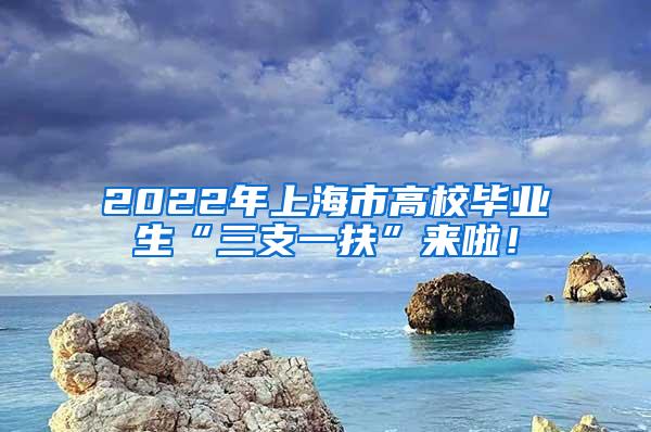 2022年上海市高校毕业生“三支一扶”来啦！