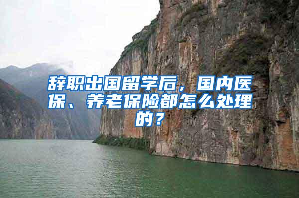 辞职出国留学后，国内医保、养老保险都怎么处理的？