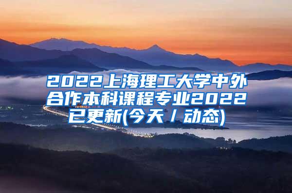 2022上海理工大学中外合作本科课程专业2022已更新(今天／动态)