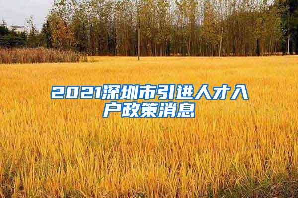 2021深圳市引进人才入户政策消息