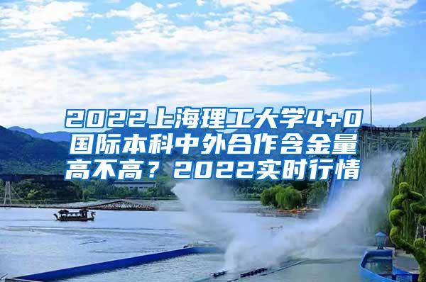 2022上海理工大学4+0国际本科中外合作含金量高不高？2022实时行情