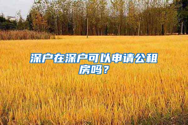 深户在深户可以申请公租房吗？