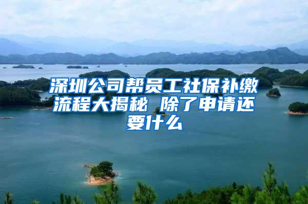 深圳公司帮员工社保补缴流程大揭秘 除了申请还要什么