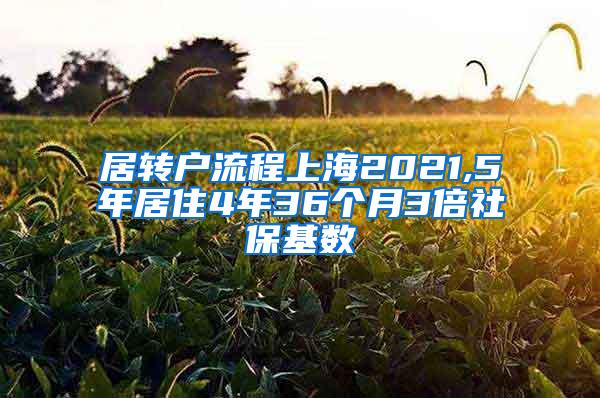 居转户流程上海2021,5年居住4年36个月3倍社保基数