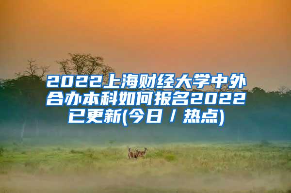 2022上海财经大学中外合办本科如何报名2022已更新(今日／热点)