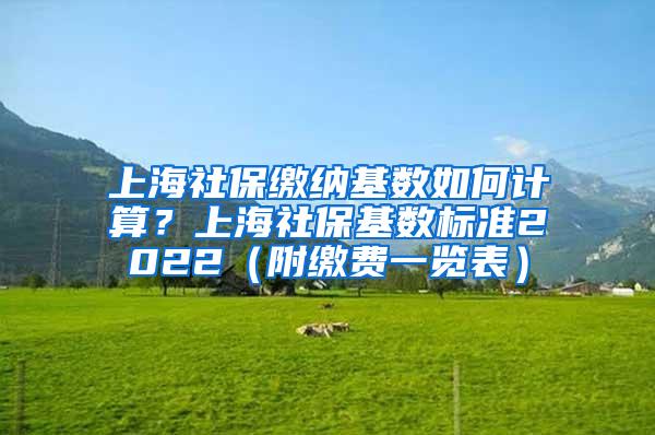 上海社保缴纳基数如何计算？上海社保基数标准2022（附缴费一览表）