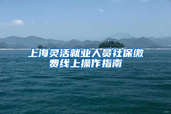 上海灵活就业人员社保缴费线上操作指南