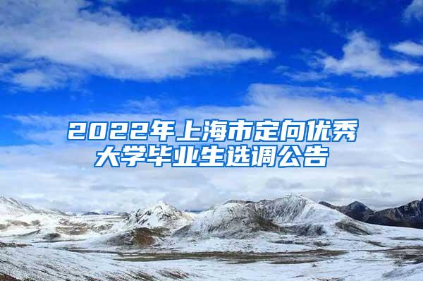 2022年上海市定向优秀大学毕业生选调公告