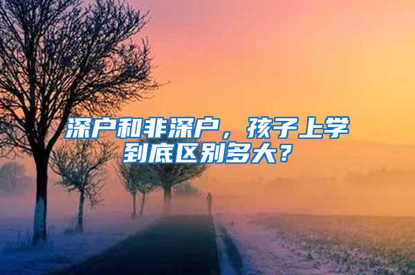 深户和非深户，孩子上学到底区别多大？