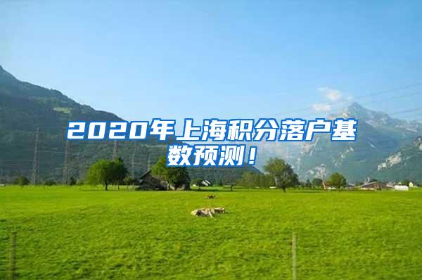 2020年上海积分落户基数预测！