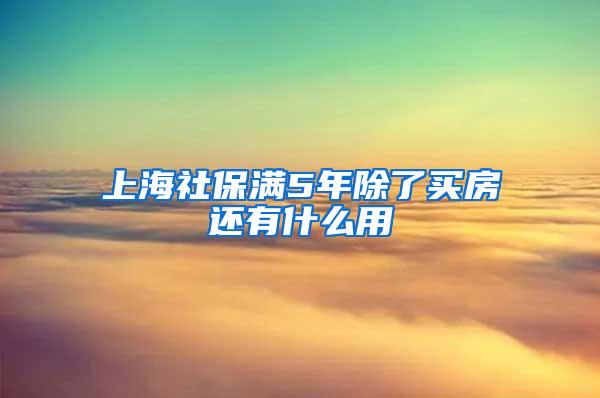 上海社保满5年除了买房还有什么用