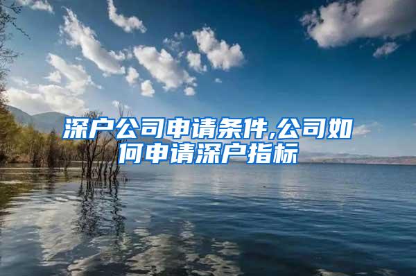 深户公司申请条件,公司如何申请深户指标