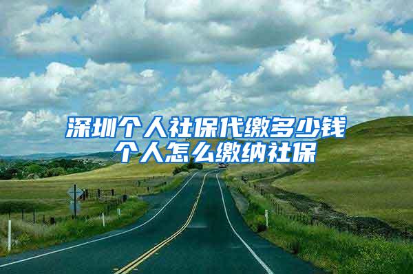 深圳个人社保代缴多少钱 个人怎么缴纳社保