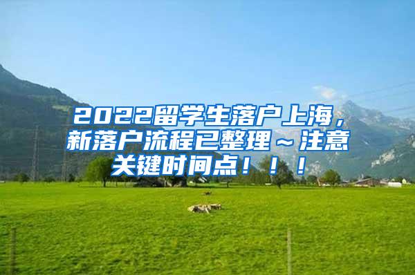 2022留学生落户上海，新落户流程已整理～注意关键时间点！！！