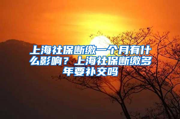 上海社保断缴一个月有什么影响？上海社保断缴多年要补交吗