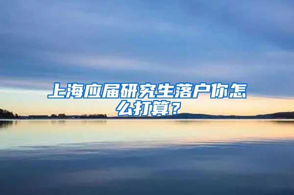 上海应届研究生落户你怎么打算？