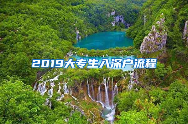 2019大专生入深户流程