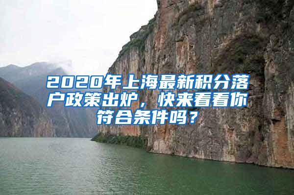 2020年上海最新积分落户政策出炉，快来看看你符合条件吗？