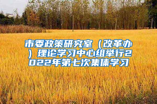 市委政策研究室（改革办）理论学习中心组举行2022年第七次集体学习