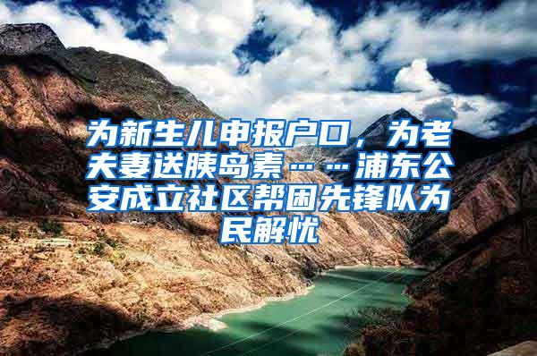 为新生儿申报户口，为老夫妻送胰岛素……浦东公安成立社区帮困先锋队为民解忧